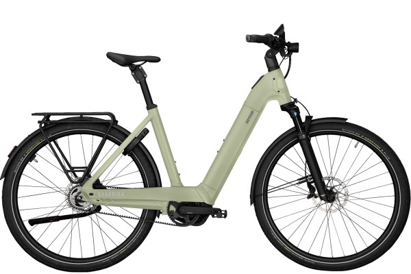 Kettler Quadriga PX5 FL 2026 (Wave - Freilauf - 800Wh - moor green matt)
